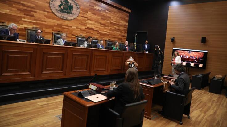 Ley Integral en el Tribunal Constitucional: Universidades estatales defienden educación no sexista