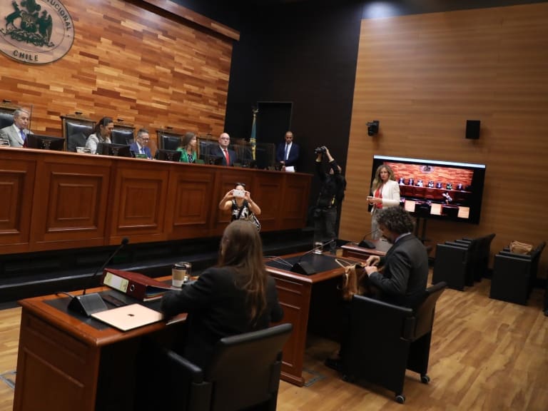 Ley Integral en el Tribunal Constitucional: Universidades estatales defienden educación no sexista