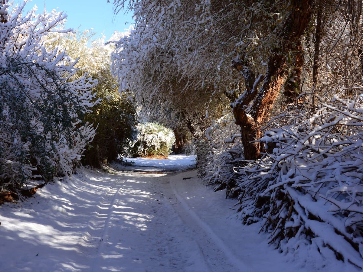 Buscan a cinco motoqueros extranjeros extraviados por nieve en ruta de San Pedro de Atacama