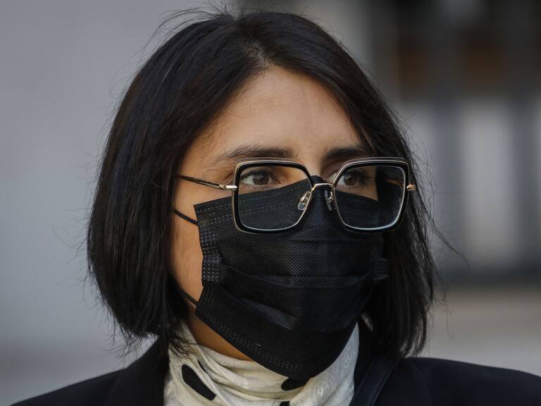 Javiera Zúñiga, vocera Movilh | Agencia Uno