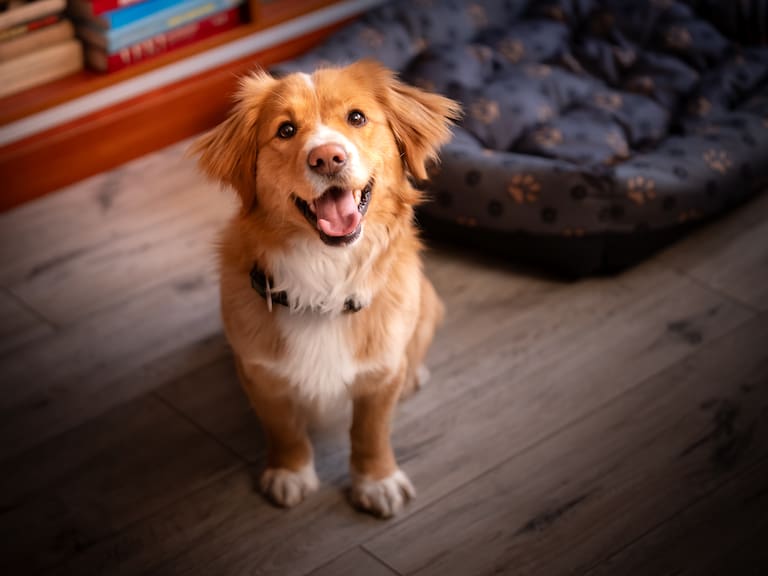 ¿Cómo ser más feliz según la ciencia?