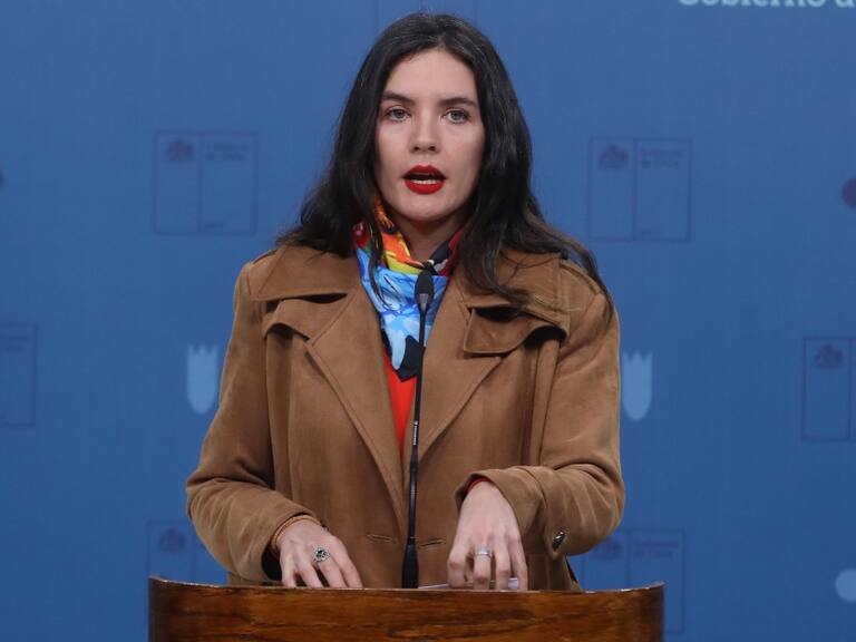 Ministra Vallejo confirma que Interior se encuentra investigando muerte de hombre en procedimiento policial en La Araucanía