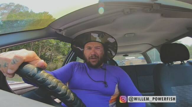 Willem Powerfish l YouTube
