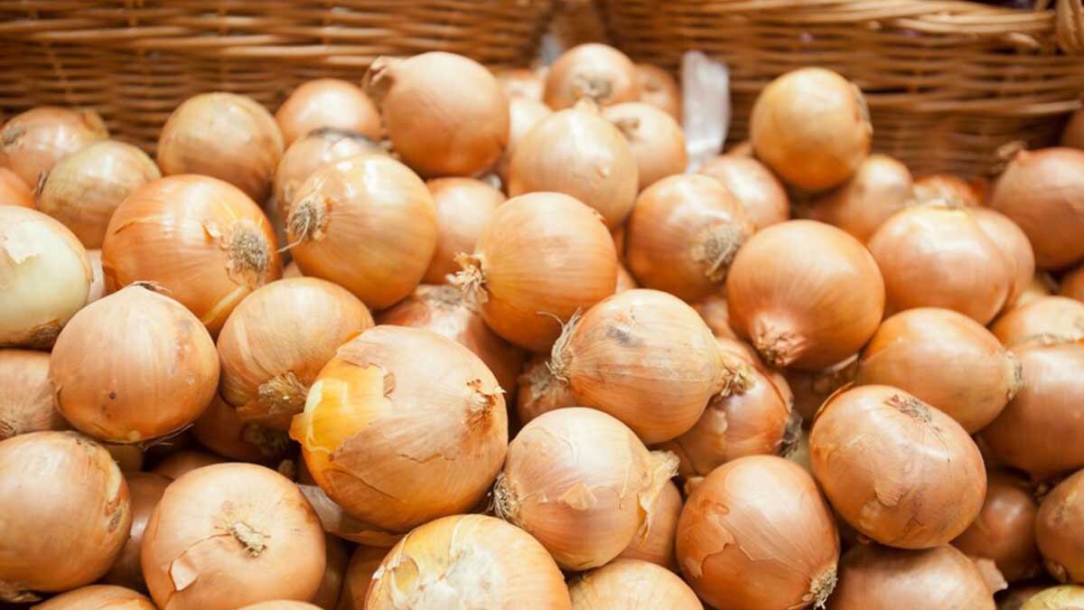 Cebolla contra el cáncer