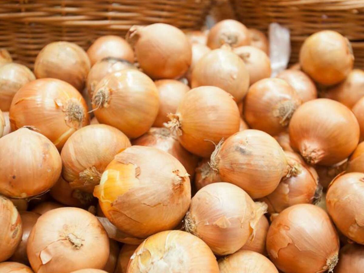 Chile realiza importante descubrimiento: la cáscara de la cebolla combatiría el cáncer