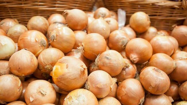 Cebolla contra el cáncer
