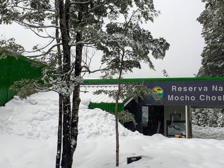 Conaf cerró de forma parcial el Parque Nacional Villarrica Sur y la Reserva Nacional Mocho Choshuenco por Fase 2 en Panguipulli