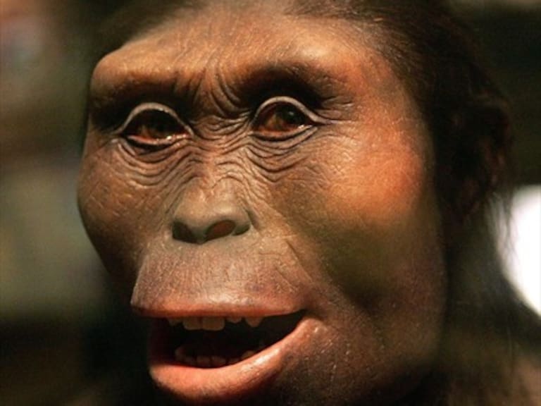 Autopsia reveló que Lucy murió al caer de un árbol