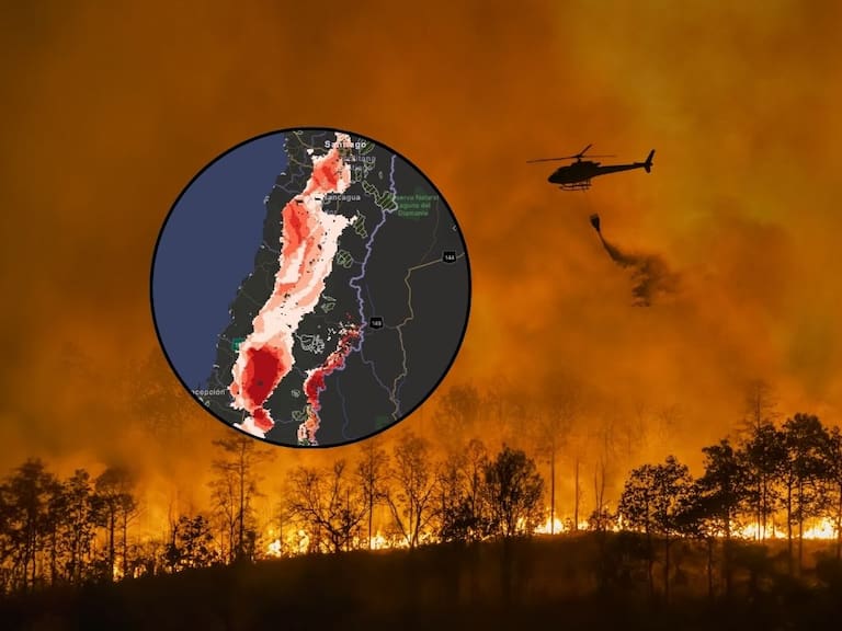 Alerta en todo Chile por incendios forestales: Conaf activa Botón Rojo en más de 140 comunas del país