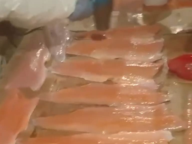 Denuncian presunto “maquillaje” de salmones en plantas clandestinas de Los Lagos
