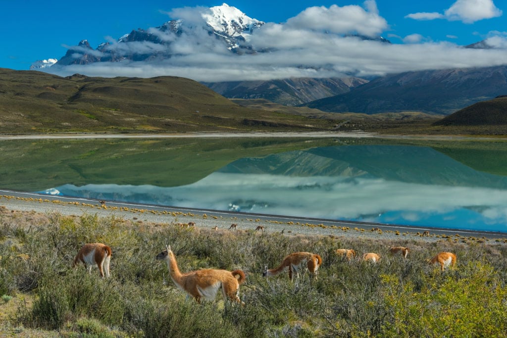 Torres del Paine