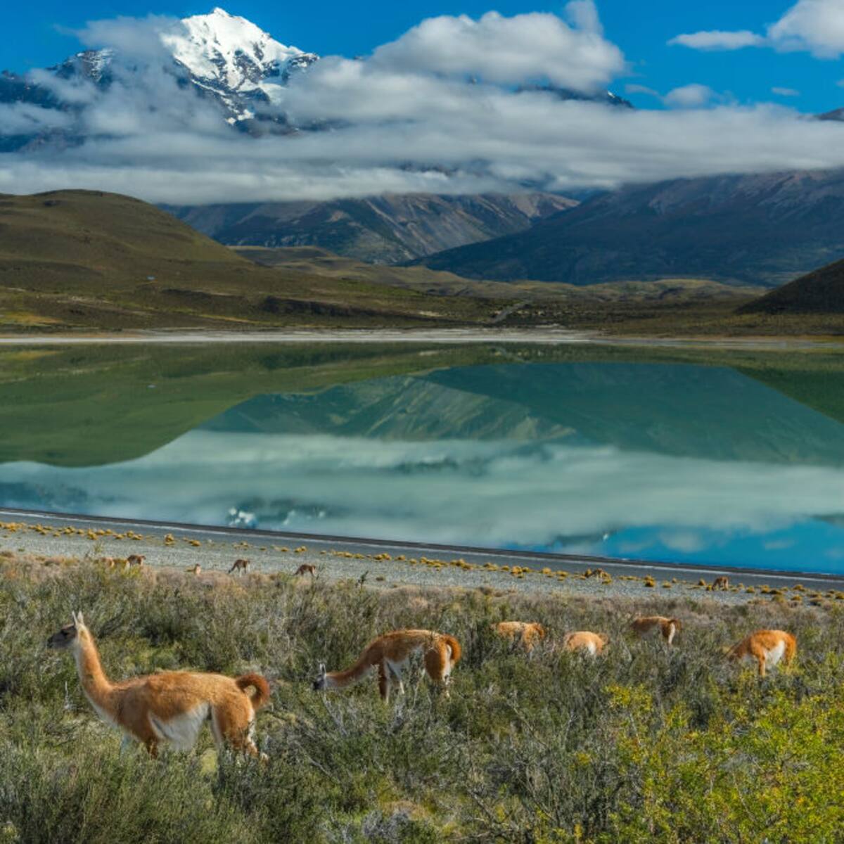 Turismo en Chile vivirá auge en los próximos 15 años: esta es la cantidad de extranjeros que vendrán, según nuevo estudio