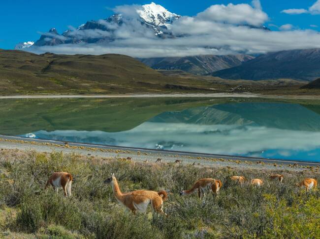Torres del Paine