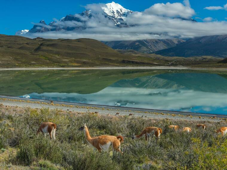 Torres del Paine | Getty Images