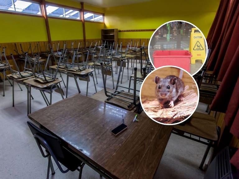 Clases suspendidas, plagas de roedores y filtraciones: ordenan auditoría por crisis en colegios del norte de Chile