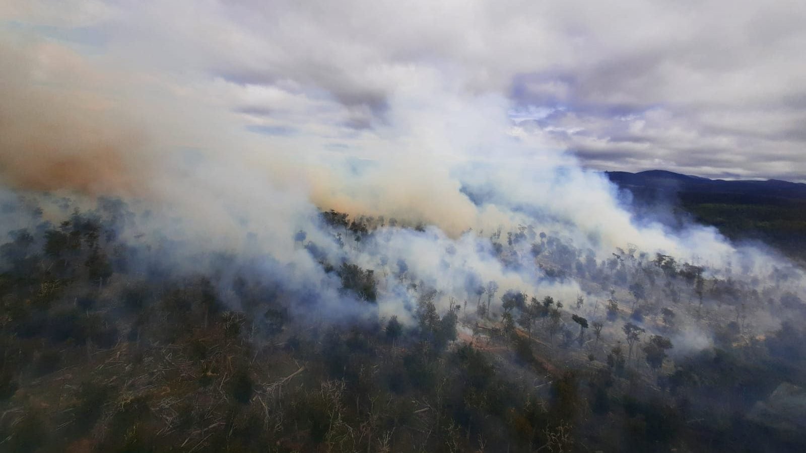 Incendio forestal en Magallanes