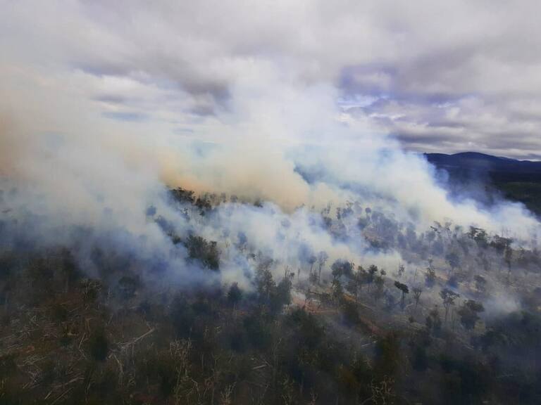 Incendio forestal en Magallanes