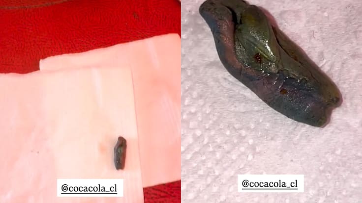Influencer compró bebida y encontró una asquerosa sorpresa al interior: “Cayó en mi vaso y terminé vomitando”