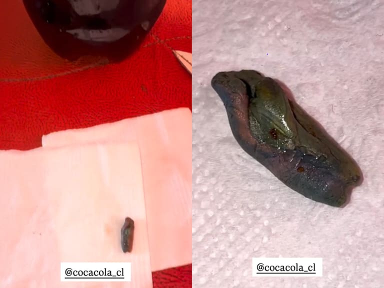 Influencer compró bebida y encontró una asquerosa sorpresa al interior: “Cayó en mi vaso y terminé vomitando”