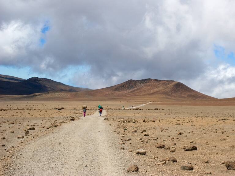 Día Mundial del Medio Ambiente: migrantes climáticos podrían llegar a 216 millones para el año 2050