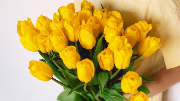 Flores amarillas en septiembre: ¿Qué día se regalan y por qué?