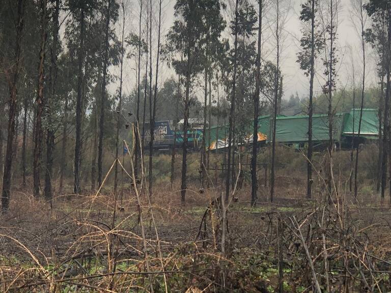 Tren de carga descarriló en la Región de La Araucanía tras ataque armado