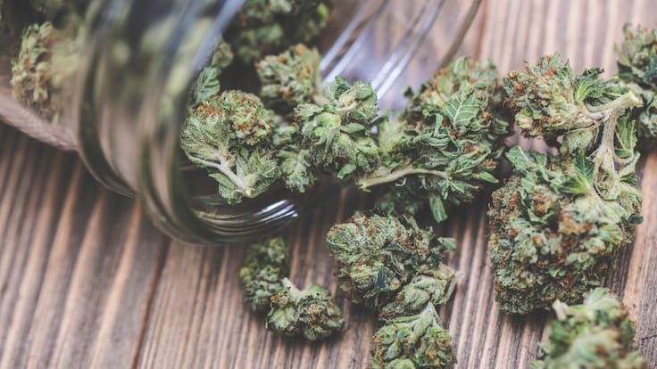 Corte Suprema da sorpresivo vuelco al caso de joven condenado a la cárcel por portar 21 gramos de marihuana