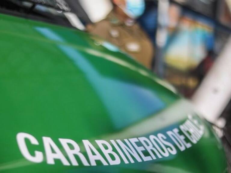 Sujetos roban $80 millones en alimento para perros y gatos desde bodega en barrio Matta Sur