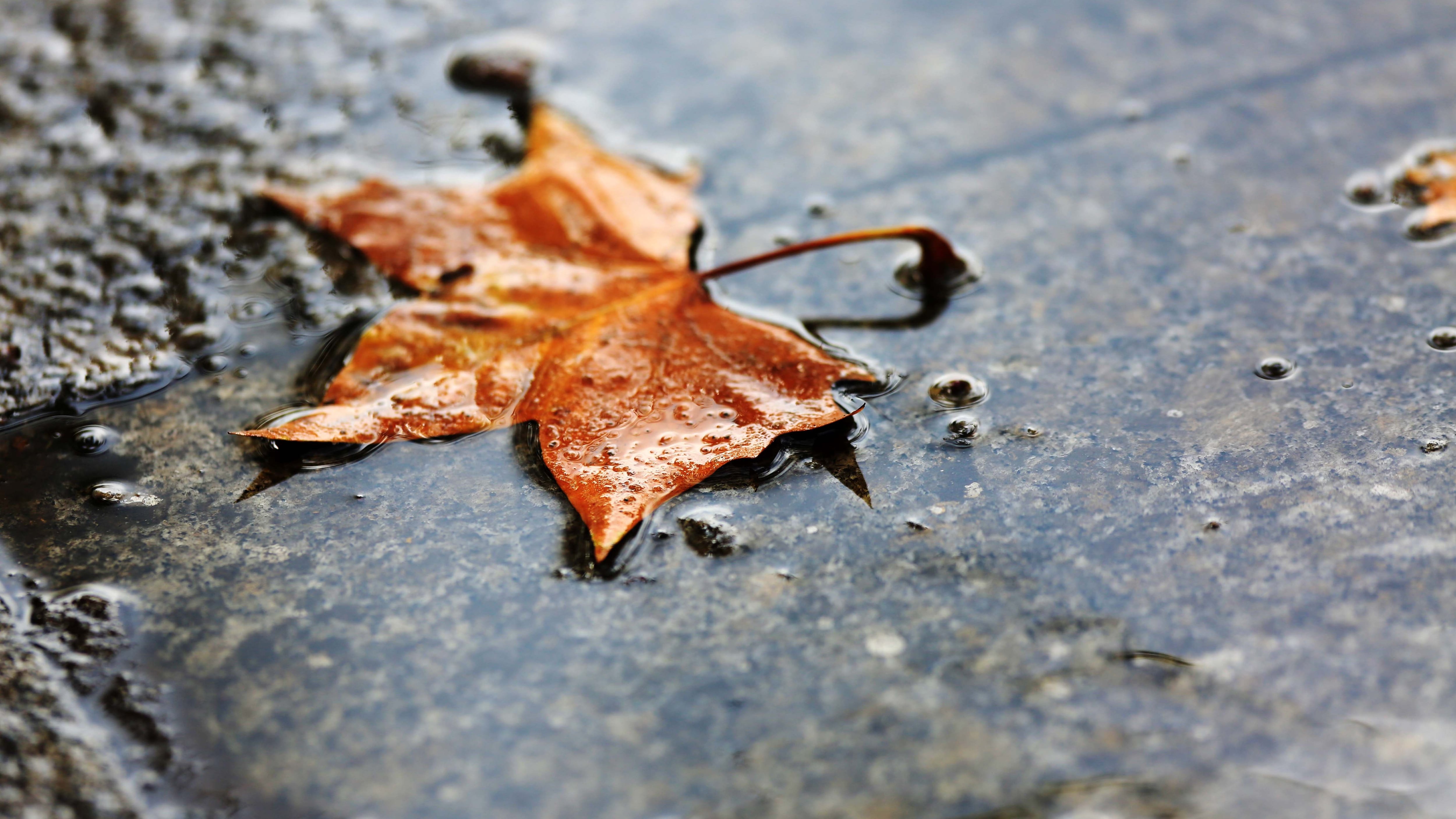 Pronóstico del tiempo en Santiago lluvia chubascos