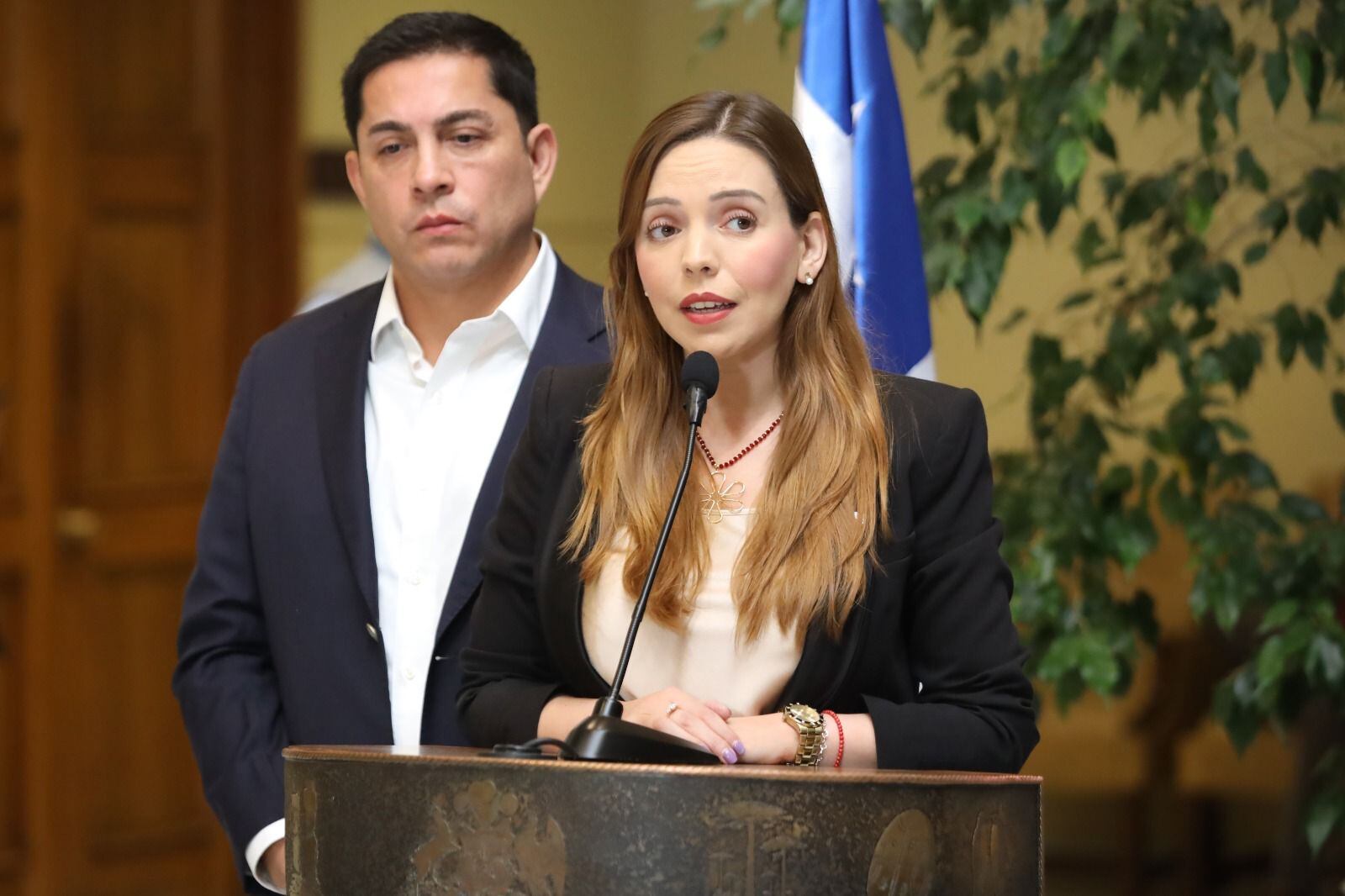 Diputados RN piden investigar restaurantes extranjeros tras aumento de locales en Santiago