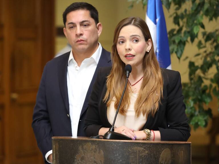 Diputados RN piden investigar restaurantes extranjeros tras aumento de locales en Santiago