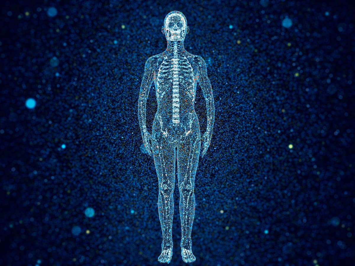 Las partes del cuerpo humano para las que la evolución no tiene una respuesta