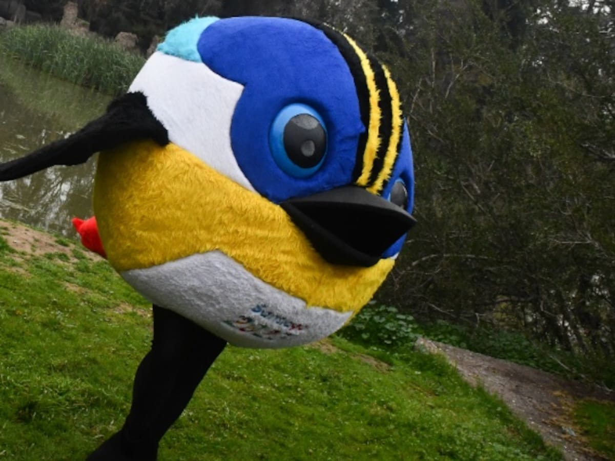 Fiu se toma Santiago 2023: deportista mexicana se pintó a la mascota de los Panamericanos en las uñas