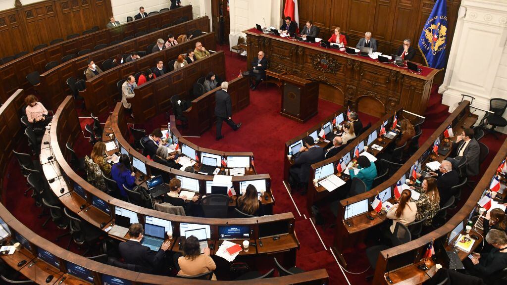 consejo constitucional - partidos políticos - representación congreso
