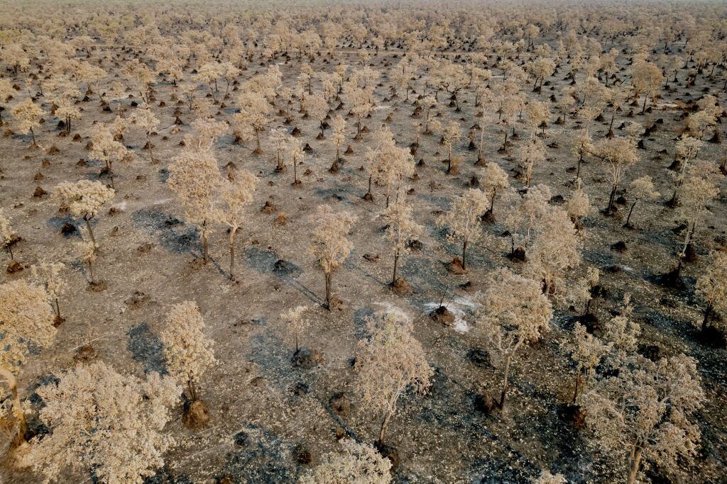 Una vista aérea de un boque quemado en el Pantanal, del estado de Mato Grosso do Sul en Brasil.