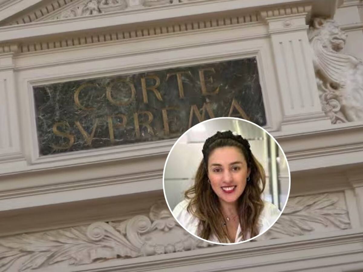 Revés para nieta de Pinochet: Corte Suprema descarta restitución de terreno en el sur de Chile