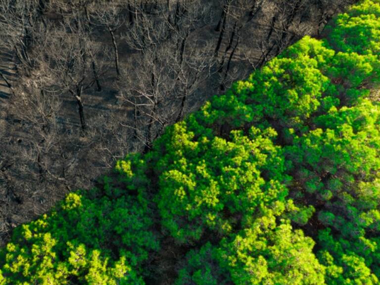 Gremios agrónomos instan al Gobierno e instituciones a implementar políticas para la adaptación al cambio climático
