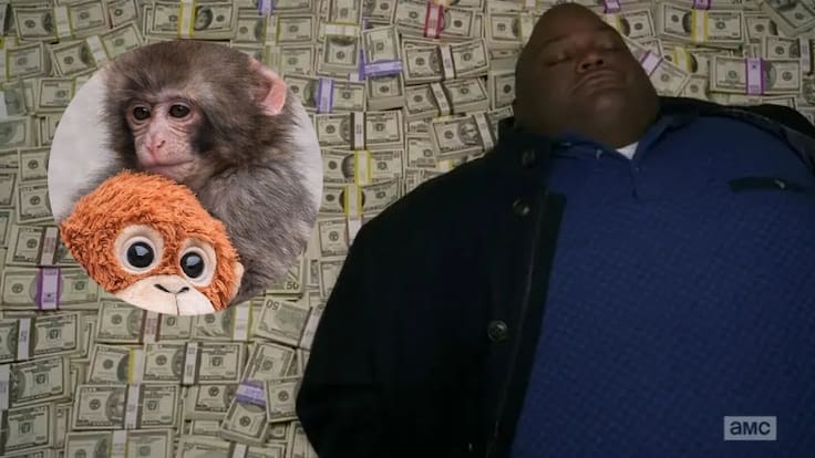 Se aprovechan de su nobleza: hombre gana más de 3 millones de dólares gracias al célebre macaco Punch