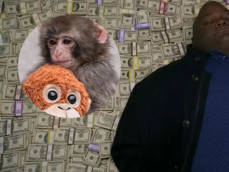 Se aprovechan de su nobleza: hombre gana más de 3 millones de dólares gracias al célebre macaco Punch