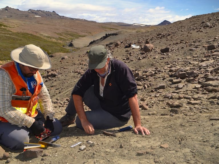 Juan Enrique Bostelmann