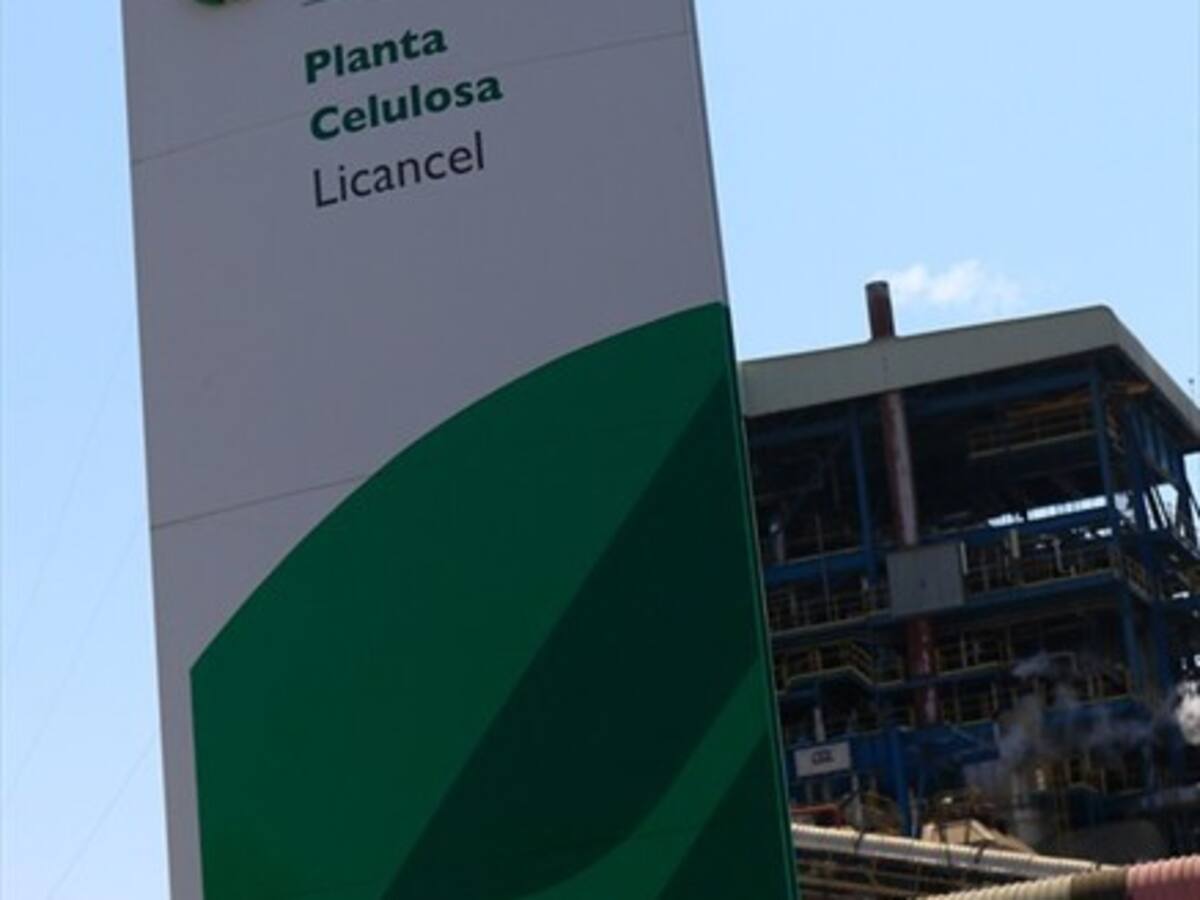 Gerente de celulosa Arauco y millonaria inversión en Chile: «La evaluamos a 50 años»