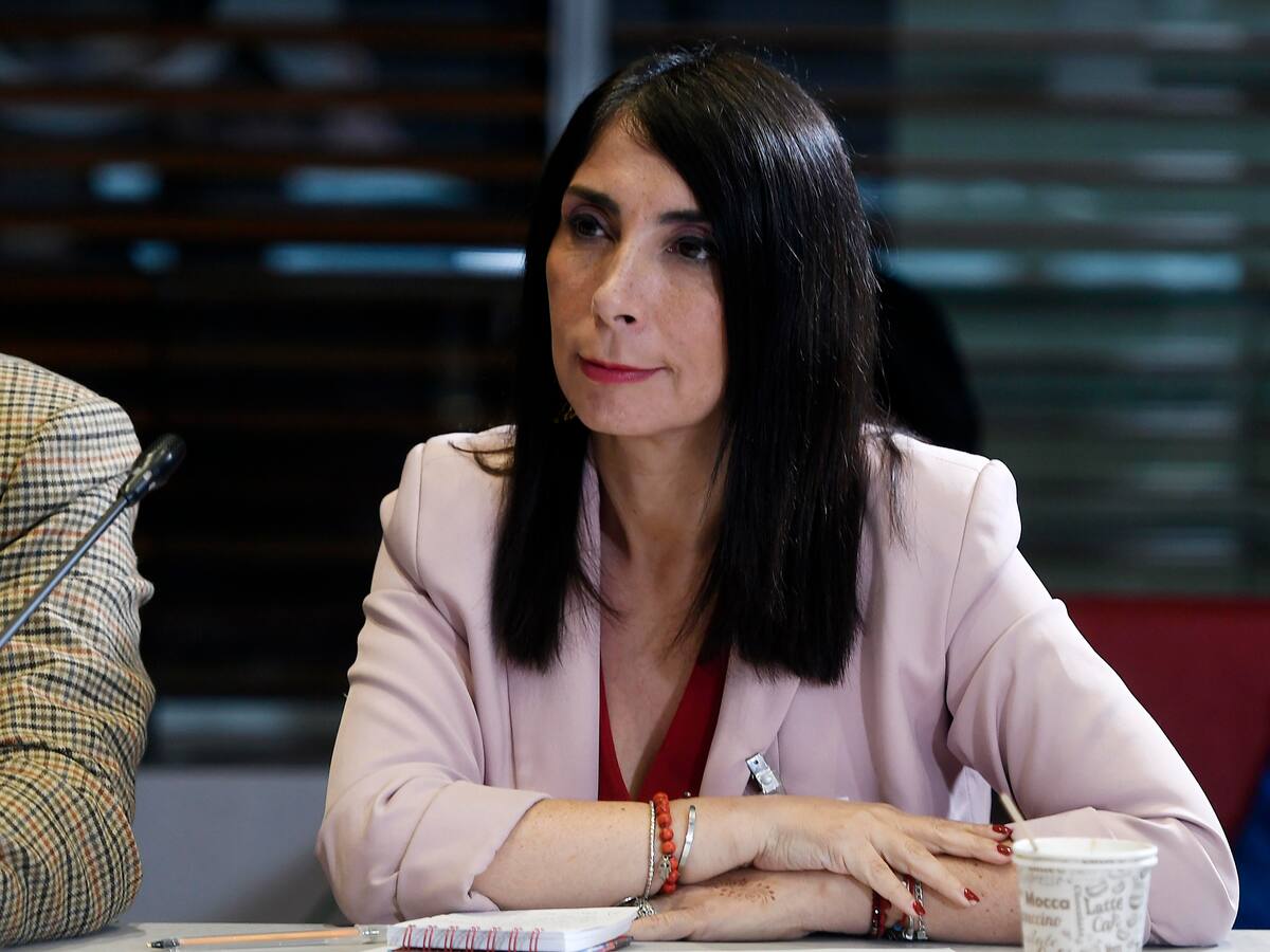 Karla Rubilar analiza primeros meses de Gobierno de Kast: “Un recorte parejo a todos los ministerios fue una mala decisión”