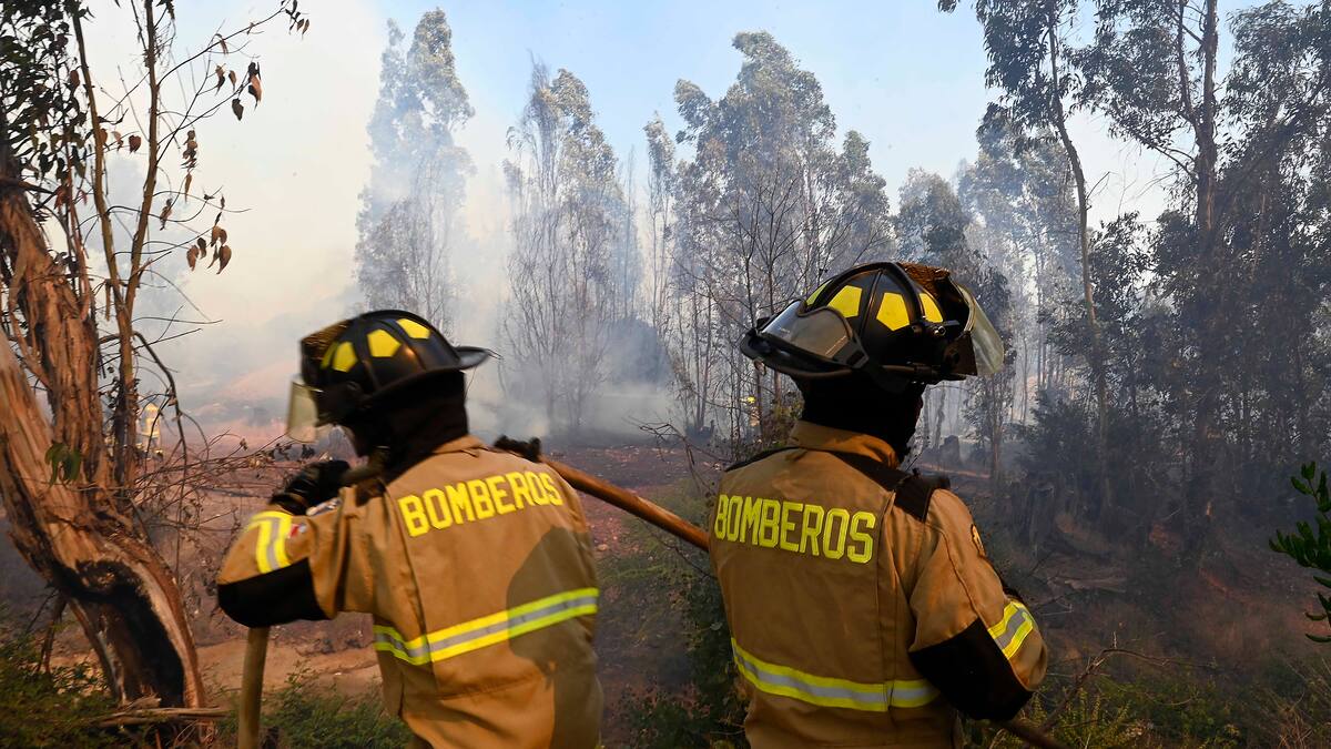 Senapred declara Alerta Roja en la comuna de Coihueco por incendio forestal