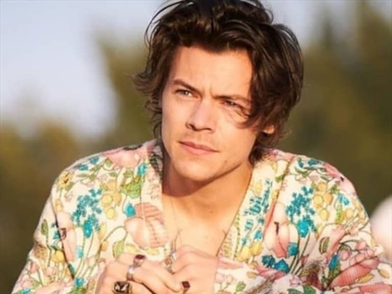 Harry Styles habría rechazado ser el Príncipe Eric en el live-action de La Sirenita