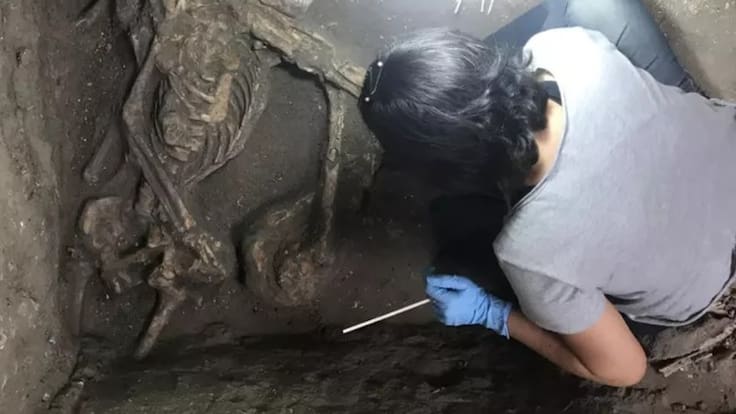 Una mujer hizo un arreglo en su casa y terminó encontrando un cementerio con los restos de más de 40 mil personas