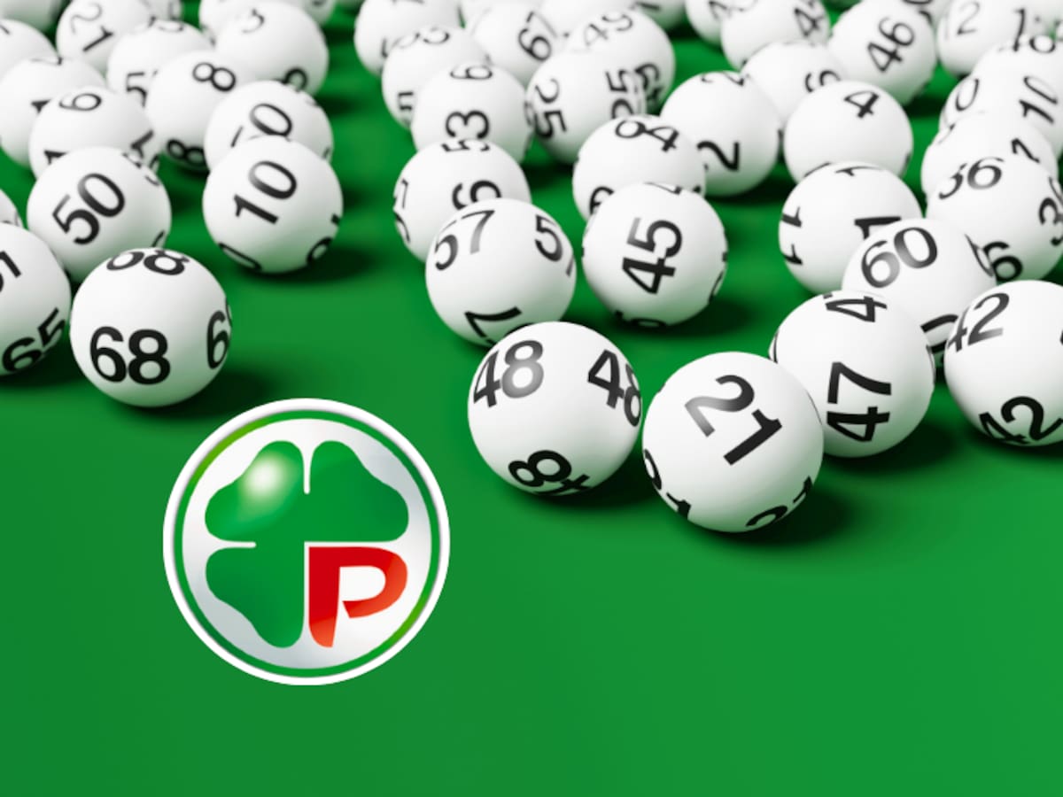 Casi 4 mil inscritos: Polla anuncia nuevos sorteos de $3 millones en vísperas de Navidad y Año Nuevo (y este grupo puede participar)