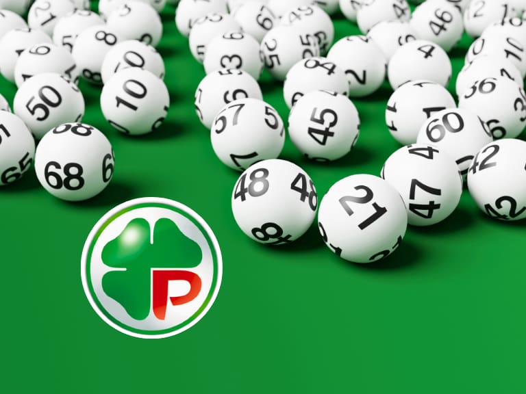 Casi 4 mil inscritos: Polla anuncia nuevos sorteos de $3 millones en vísperas de Navidad y Año Nuevo (y este grupo puede participar)