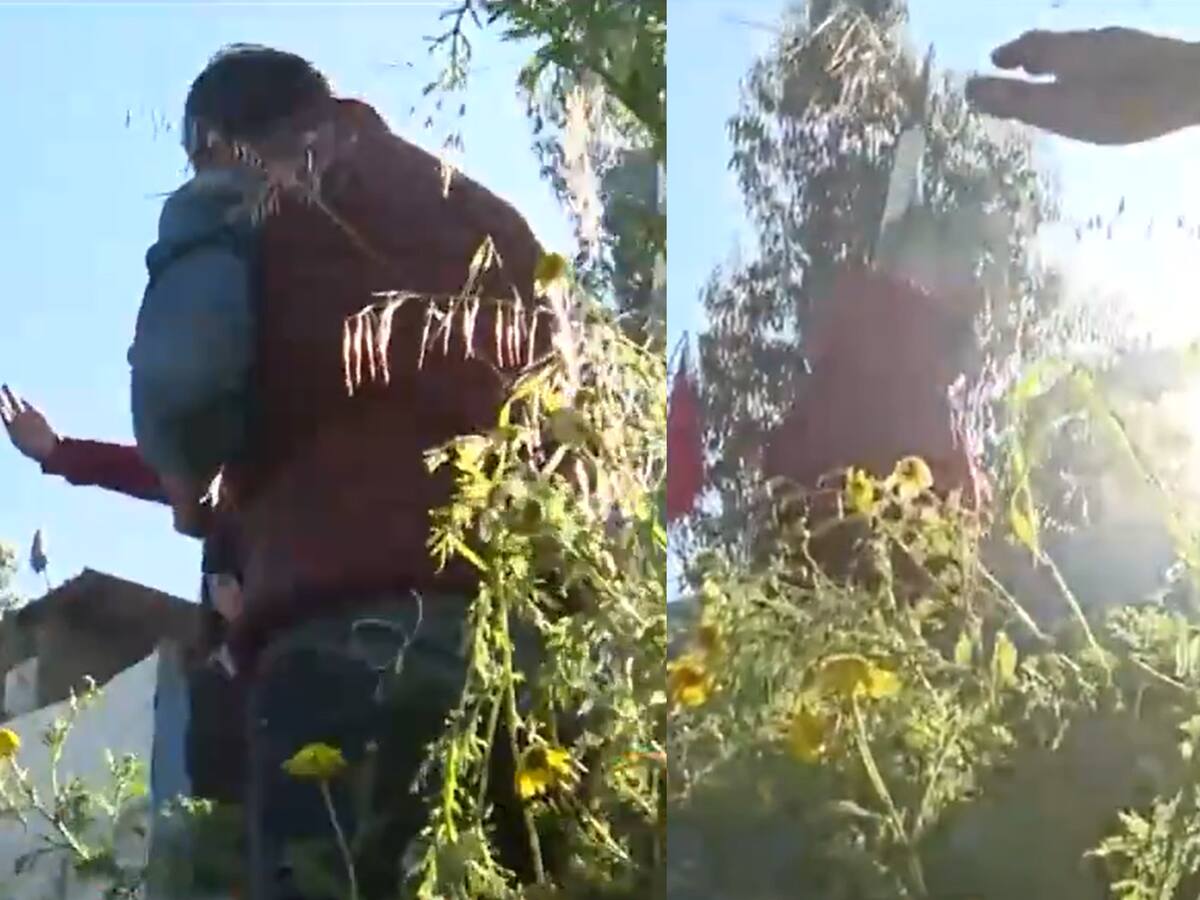 “Vienen a reírse de la gente”: notero de CHV es violentamente increpado durante desalojo de campamento en Placilla