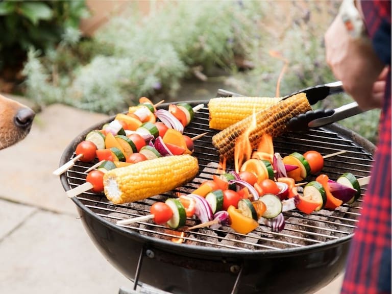 No todo está prohibido: estos alimentos sí pueden disfrutar perros y gatos en Fiestas Patrias