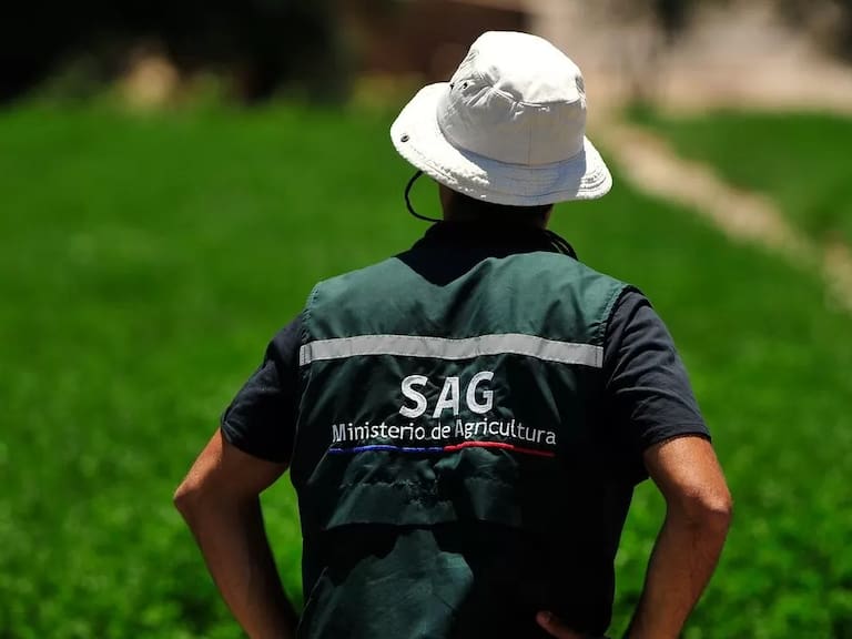 SAG bajo la lupa de la Contraloría: deberán justificar elevado sueldo de periodista que superó incluso al de su jefatura directa